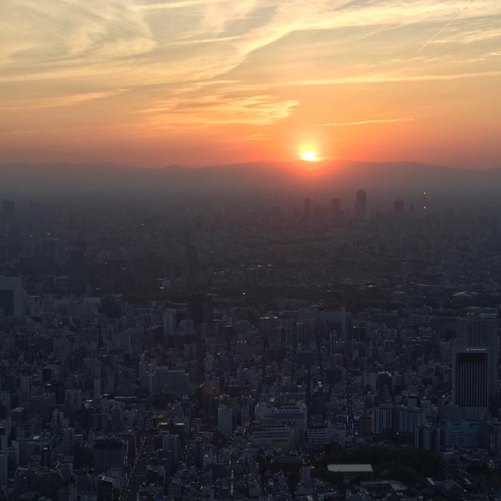 Meet your Posher, Isla